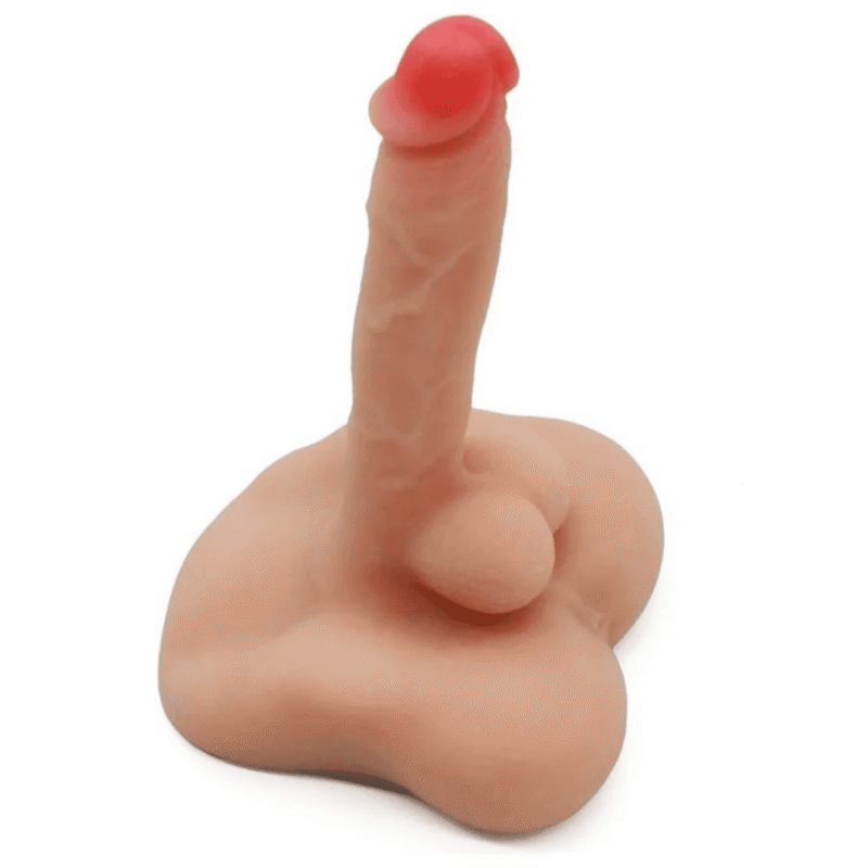 Medio Torso Articulado Paul