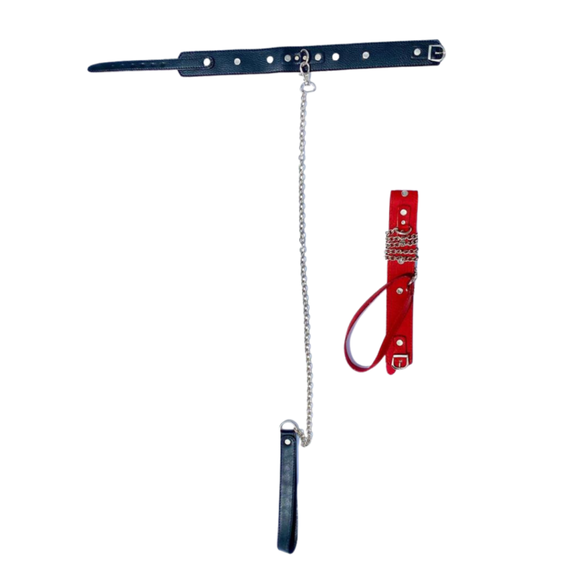 Collar de Perro en Cuero