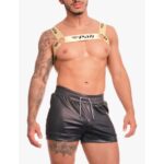 Pechera Colores LGTBIQ 42020