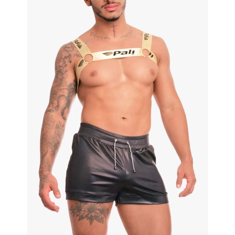 Pechera Colores LGTBIQ 42020