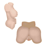 Torso Realista Merit 27cm - Imagen 7