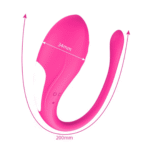 Vibrador a Distancia con App LoveSpouse