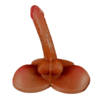 Medio Torso Articulado Paul