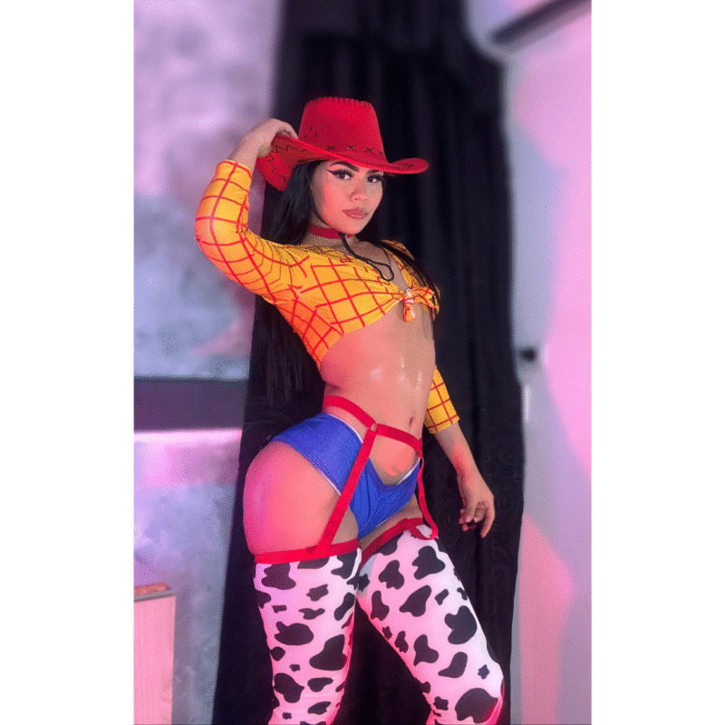 Disfraz Vaquera Sexy